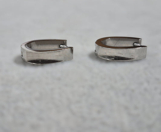 Titanium Channel Earrings
